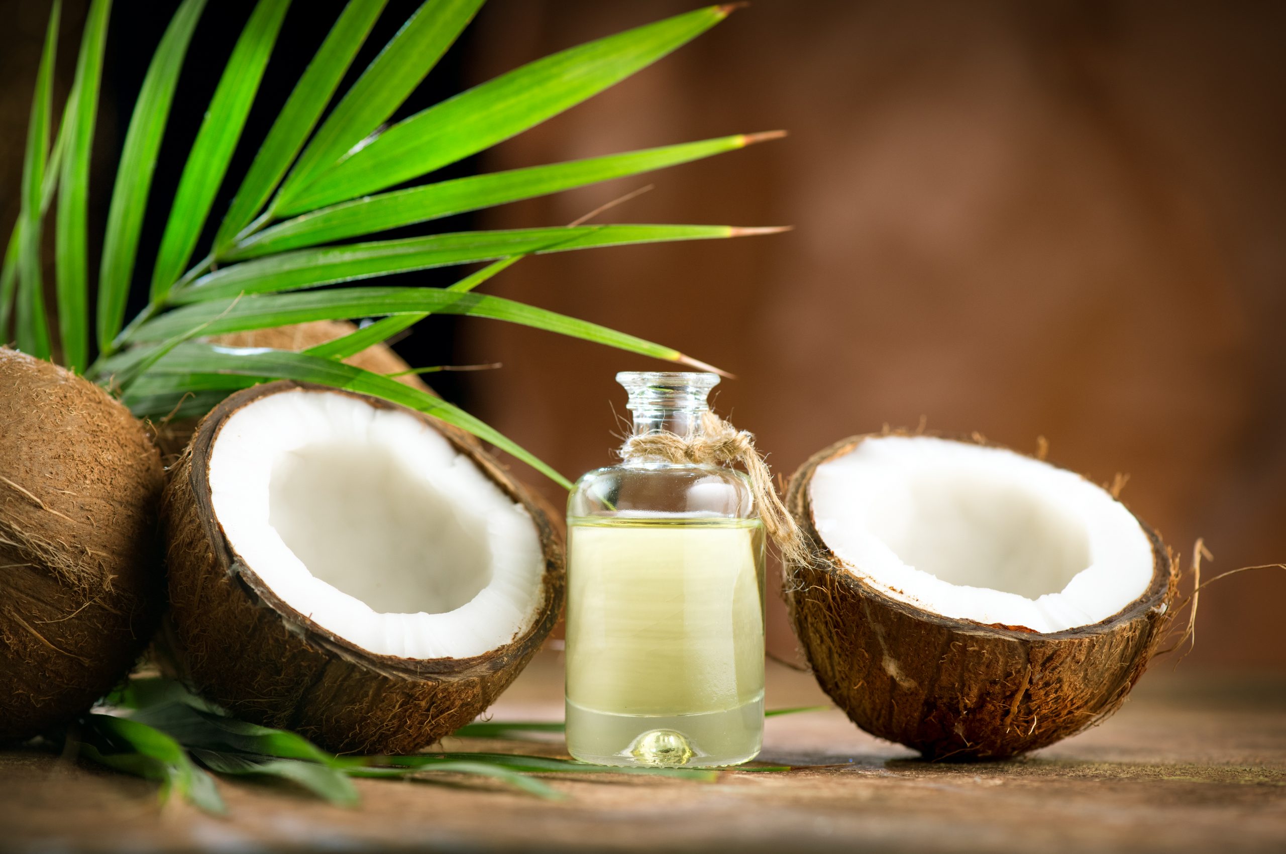 benefits of coconut oil hair